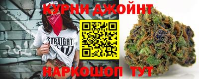 индика Бийск