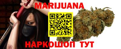 индика Бийск