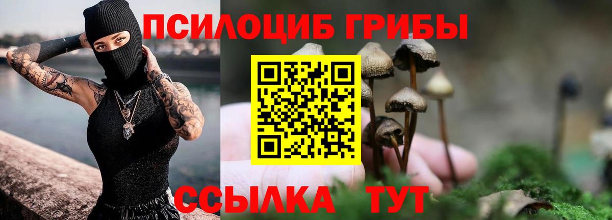 Клин  Галлюциногенные грибы Psilocybe  Вход с VPN  Галлюциногенные грибы ЛСД 