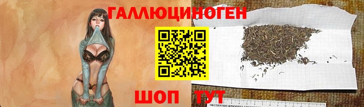 Галлюциногенные грибы мицелий Клин